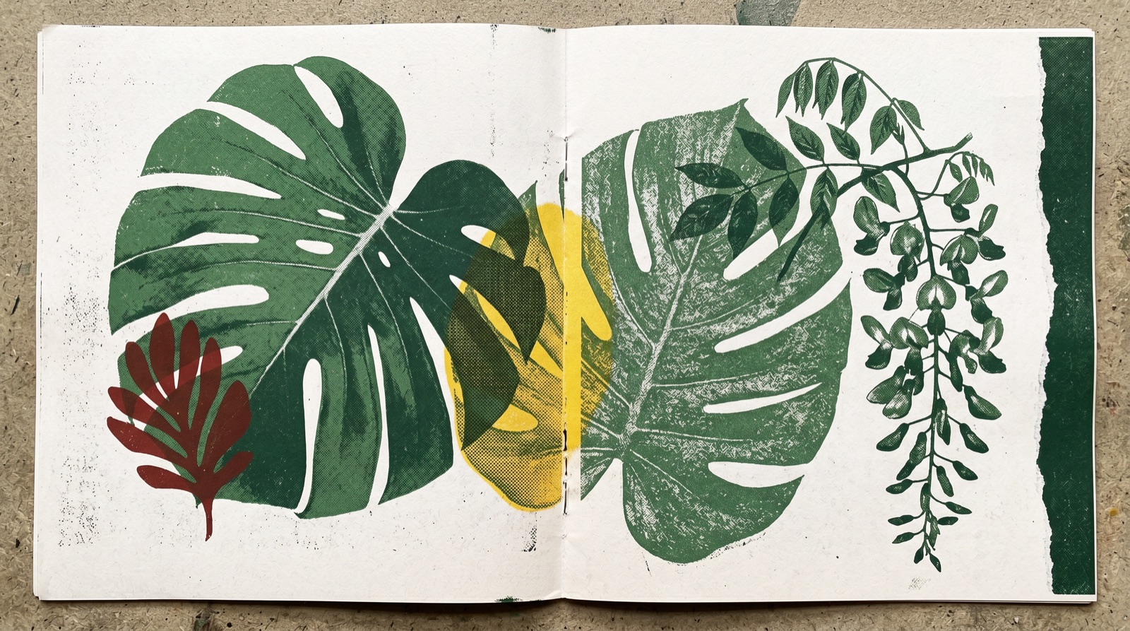 Blaine Dispensary — risograph botanical print, monstera and wisteria in moss and fern with an oxblood accent